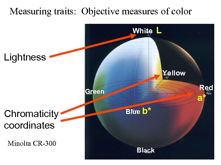 Measuring traits: Objective measures of color White L Lightness Yellow Red Green Chromaticity coordinates