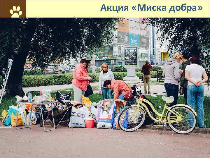 Акция «Миска добра» 