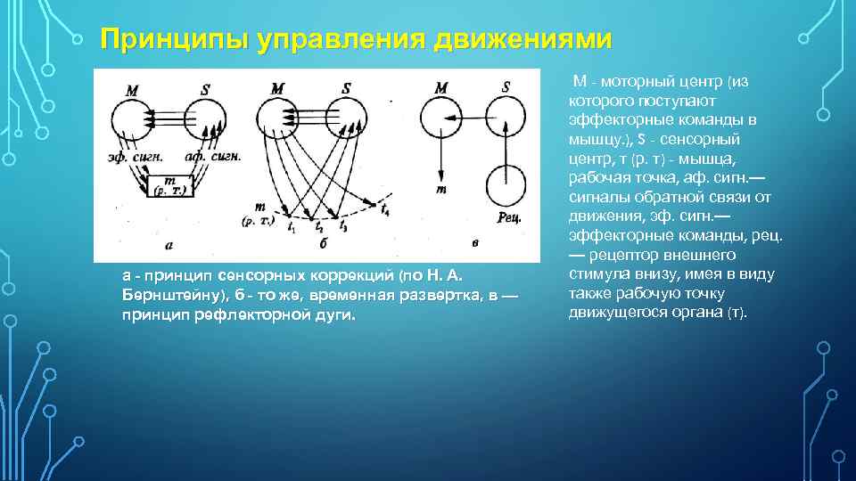 Принципы управления движениями а - принцип сенсорных коррекций (по Н. А. Бернштейну), б -