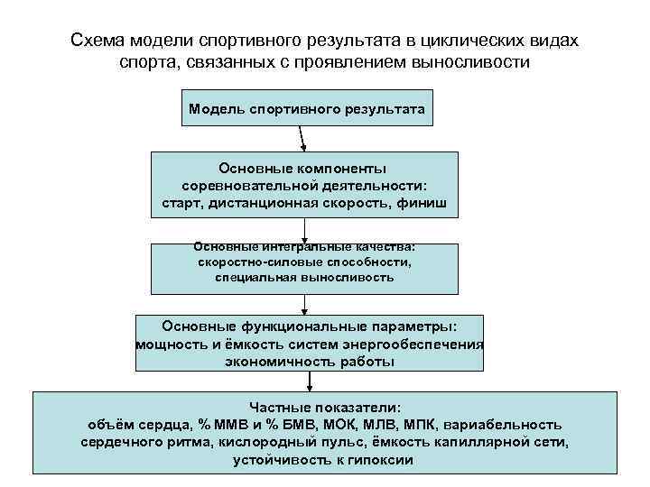 Схема модели спортивного результата в циклических видах спорта, связанных с проявлением выносливости Модель спортивного