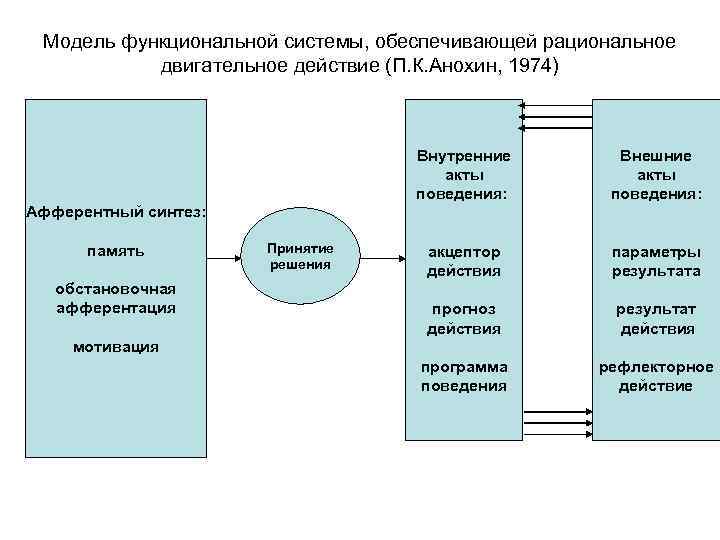 Модель функциональной системы, обеспечивающей рациональное двигательное действие (П. К. Анохин, 1974) Внутренние акты поведения:
