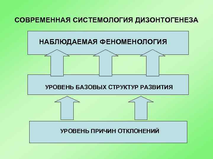 СОВРЕМЕННАЯ СИСТЕМОЛОГИЯ ДИЗОНТОГЕНЕЗА НАБЛЮДАЕМАЯ ФЕНОМЕНОЛОГИЯ УРОВЕНЬ БАЗОВЫХ СТРУКТУР РАЗВИТИЯ УРОВЕНЬ ПРИЧИН ОТКЛОНЕНИЙ 