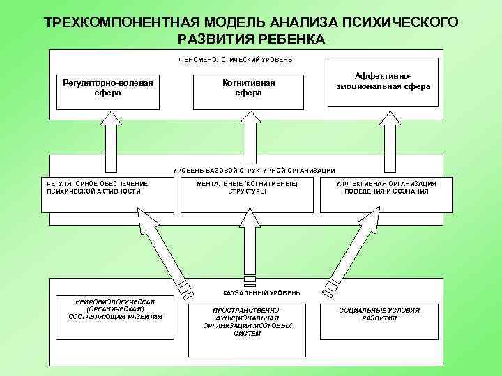 ТРЕХКОМПОНЕНТНАЯ МОДЕЛЬ АНАЛИЗА ПСИХИЧЕСКОГО РАЗВИТИЯ РЕБЕНКА ФЕНОМЕНОЛОГИЧЕСКИЙ УРОВЕНЬ Регуляторно-волевая сфера Когнитивная сфера Аффективноэмоциональная сфера