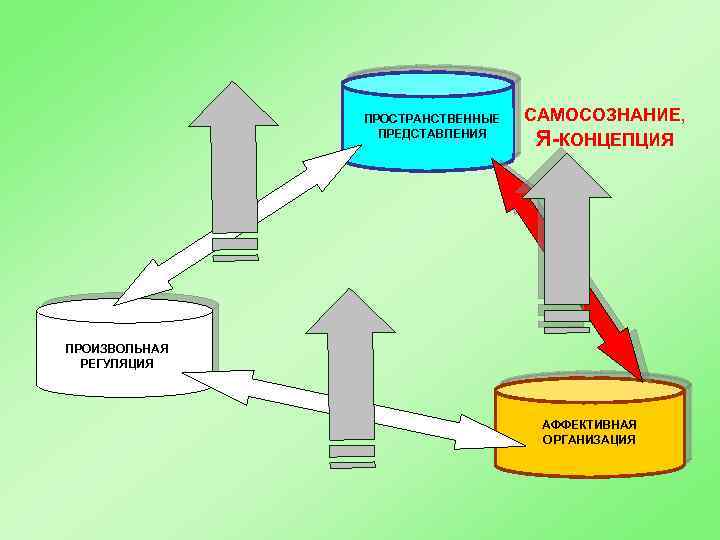 ПРОСТРАНСТВЕННЫЕ ПРЕДСТАВЛЕНИЯ САМОСОЗНАНИЕ, Я-КОНЦЕПЦИЯ ПРОИЗВОЛЬНАЯ РЕГУЛЯЦИЯ АФФЕКТИВНАЯ ОРГАНИЗАЦИЯ 