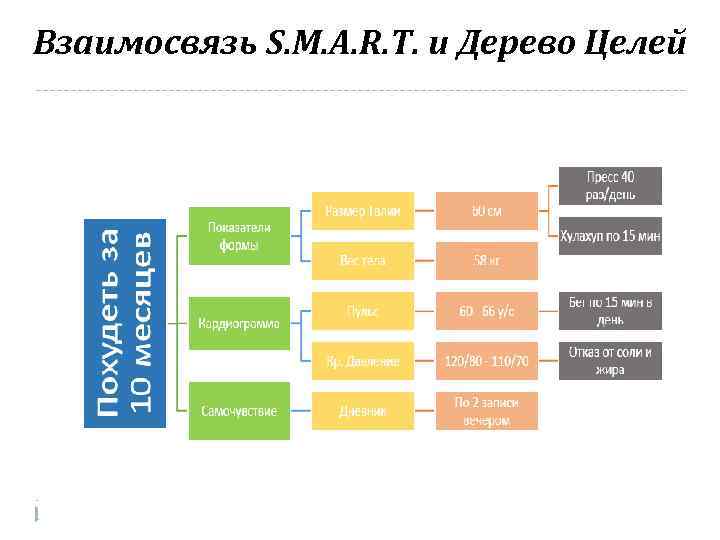Взаимосвязь S. M. A. R. T. и Дерево Целей 
