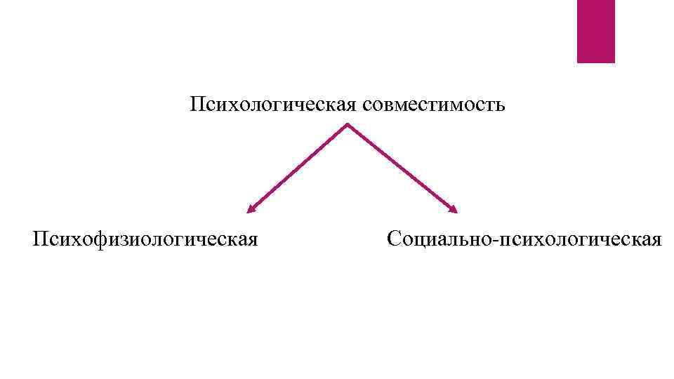 Психологическая совместимость Психофизиологическая Социально-психологическая 