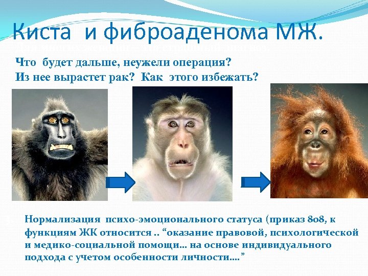 Киста женщин – это страшный диагноз. МЖ. и фиброаденома Для многих Что будет дальше,