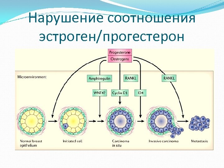 Нарушение соотношения эстроген/прогестерон 
