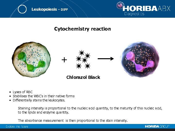 Leukopoïesis - DIFF Cytochemistry reaction + Chlorazol Black • Lyses of RBC • Stabilises