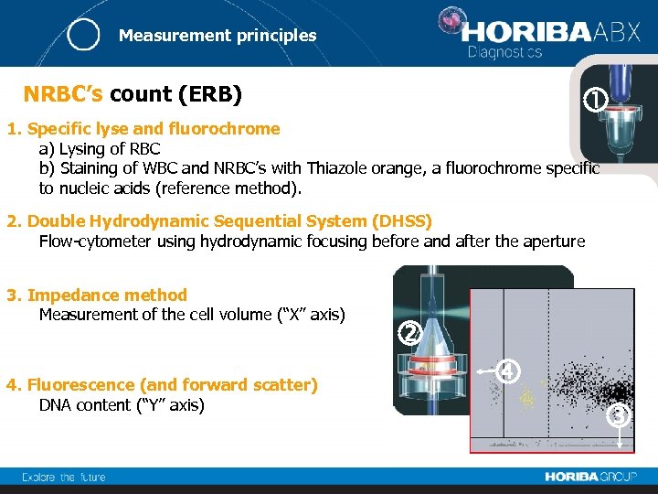 Measurement principles NRBC’s count (ERB) 1. Specific lyse and fluorochrome a) Lysing of RBC