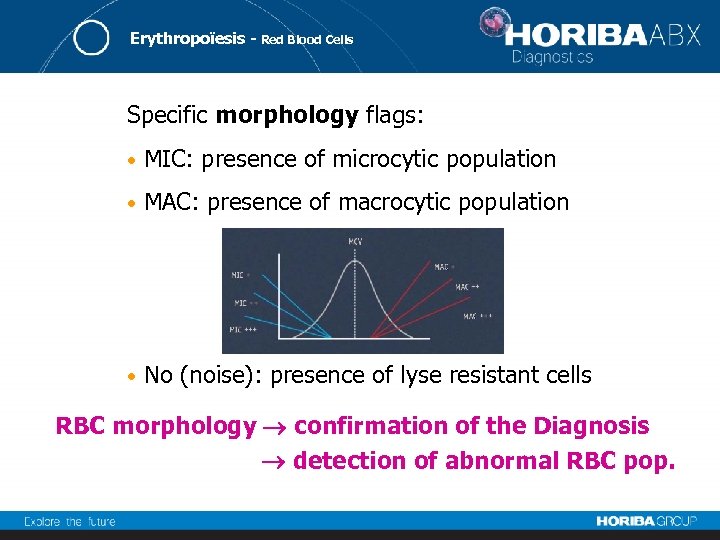 Erythropoïesis - Red Blood Cells Specific morphology flags: • MIC: presence of microcytic population