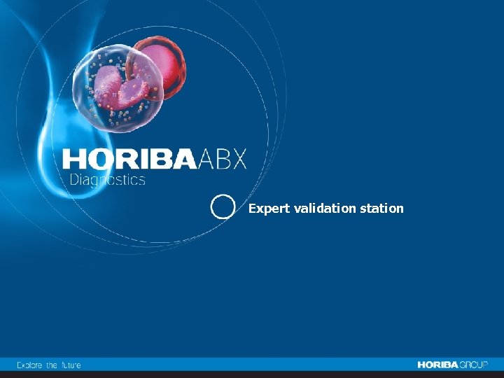 Expert validation station 