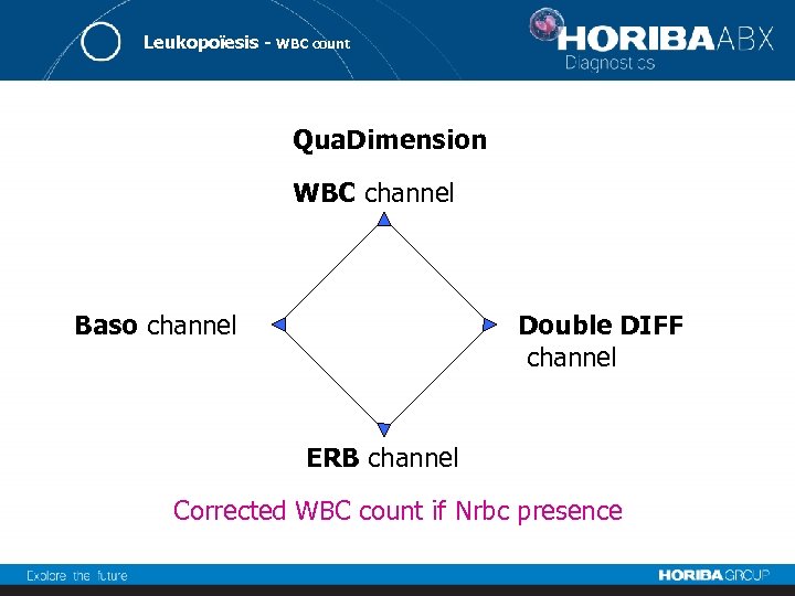 Leukopoïesis - WBC count Qua. Dimension WBC channel Baso channel Double DIFF channel ERB