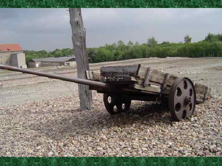  «Поющие лошади» Так назывались команды по уборке трупов с территории лагеря. Повозку с