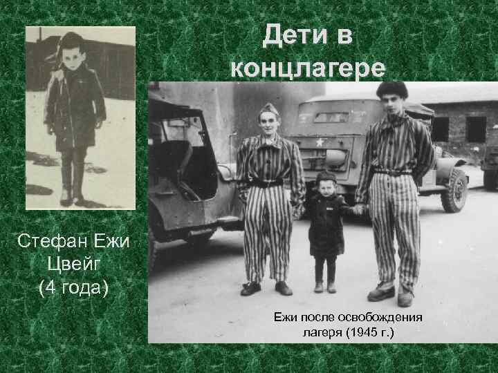Дети в концлагере Оторванные от родителей, испытывая все ужасы концлагеря, большинство из детей погибло