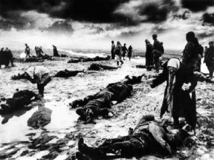 Среди изуродованных мёртвых тел – жертв лагеря смерти – женщины опознают своих сыновей, мужей,