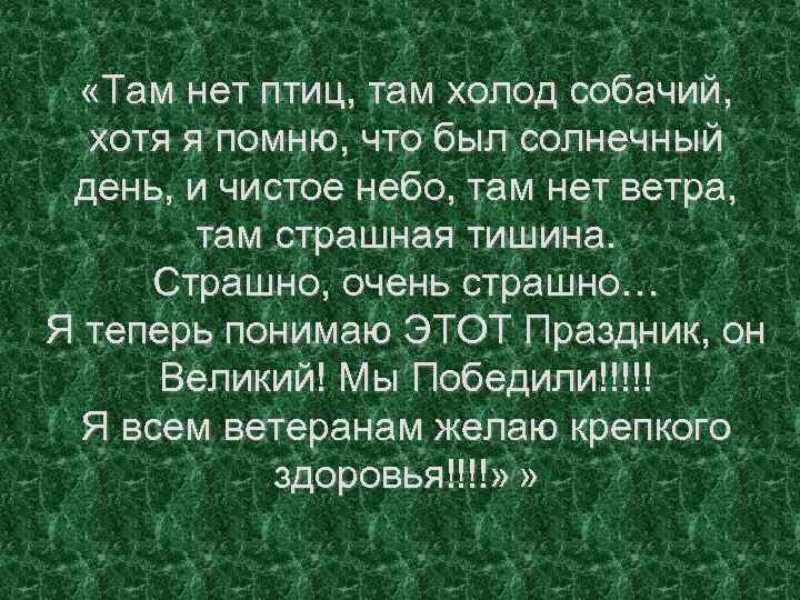  «Там нет птиц, там холод собачий, хотя я помню, что был солнечный день,