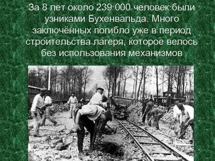За 8 лет около 239 000 человек были узниками Бухенвальда. Много заключённых погибло уже