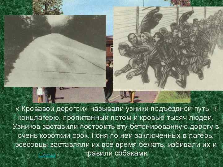  « Кровавой дорогой» называли узники подъездной путь к концлагерю, пропитанный потом и кровью