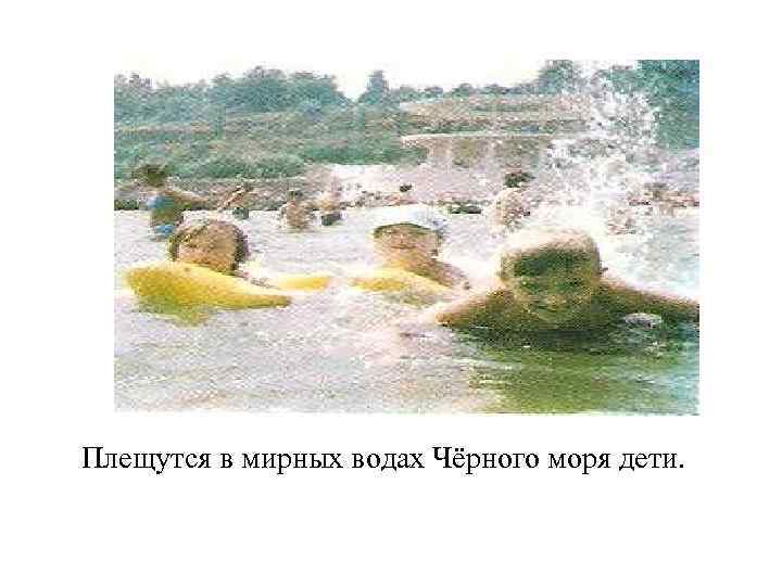 Плещутся в мирных водах Чёрного моря дети. 