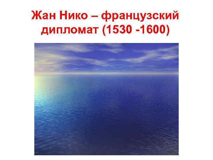 Жан Нико – французский дипломат (1530 -1600) 