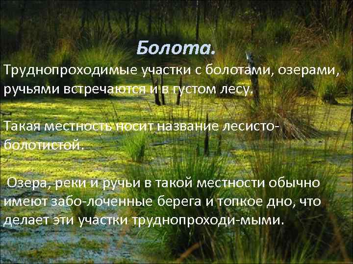 Болота. Труднопроходимые участки с болотами, озерами, ручьями встречаются и в густом лесу. Такая местность