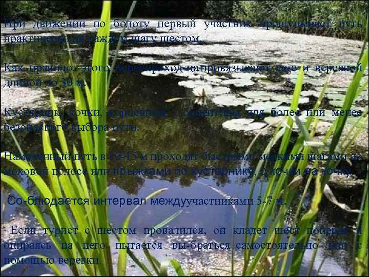При движении по болоту первый участник прощупывает путь практически на каждом шагу шестом. Как