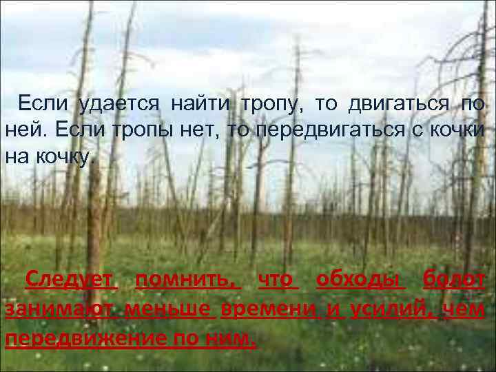 Если удается найти тропу, то двигаться по ней. Если тропы нет, то передвигаться с
