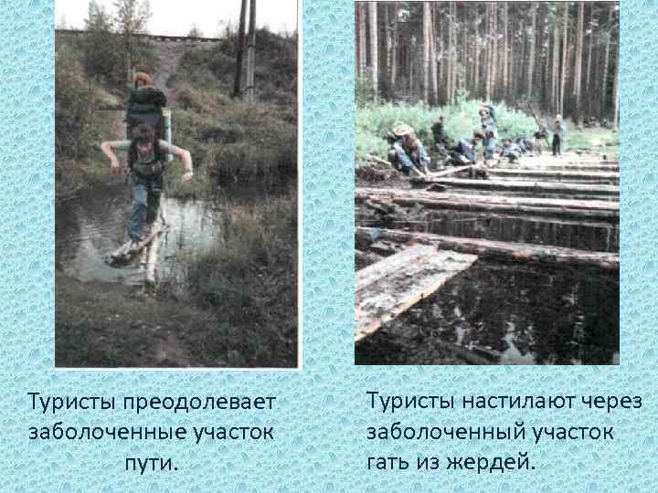 Туристы преодолевает заболоченные участок пути. Туристы настилают через заболоченный участок гать из жердей. 
