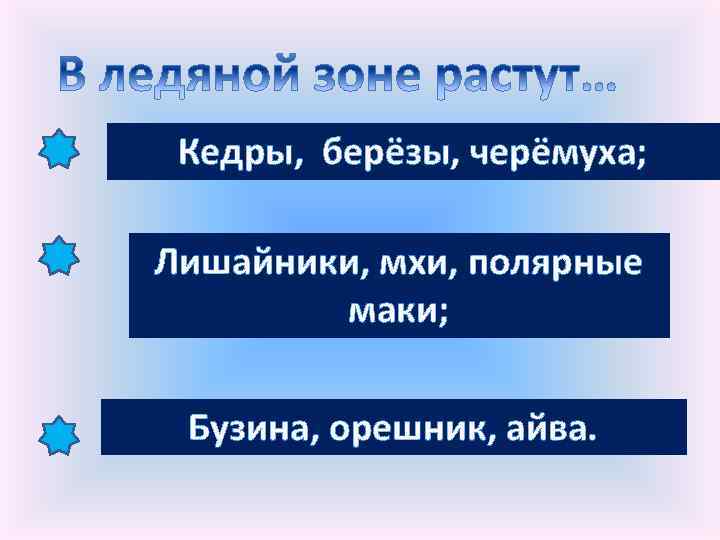 Кедры, берёзы, черёмуха; Лишайники, мхи, полярные маки; Бузина, орешник, айва. 