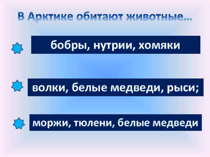 бобры, нутрии, хомяки волки, белые медведи, рыси; моржи, тюлени, белые медведи 