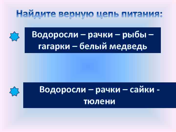 Верные цепочки. Верная цепь питания водоросли рачки рыбы гагарки белый медведь. Водоросли рачки рыбы гагарки белый медведь. Цепь питания водоросли рачки. Верная схема цепи питания водоросли рачки рыбы гагарки белый медведь.