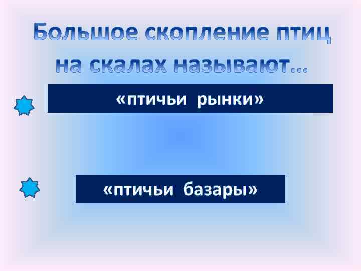  «птичьи рынки» «птичьи базары» 