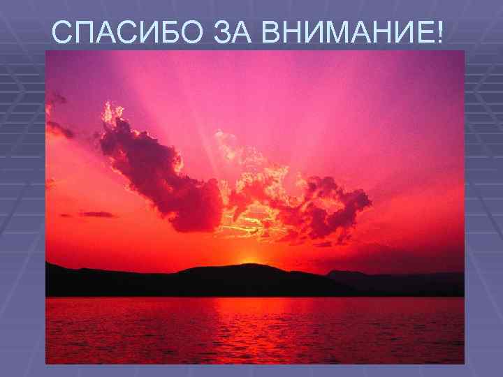 СПАСИБО ЗА ВНИМАНИЕ! 