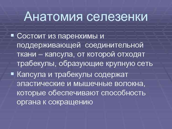 Анатомия селезенки § Состоит из паренхимы и поддерживающей соединительной ткани – капсула, от которой