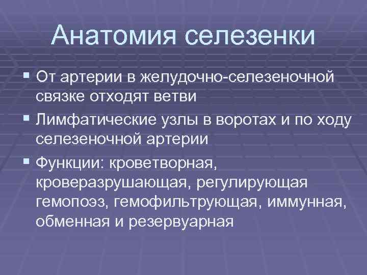 Анатомия селезенки § От артерии в желудочно-селезеночной связке отходят ветви § Лимфатические узлы в