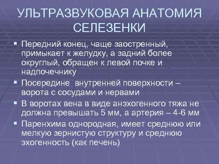 УЛЬТРАЗВУКОВАЯ АНАТОМИЯ СЕЛЕЗЕНКИ § Передний конец, чаще заостренный, примыкает к желудку, а задний более