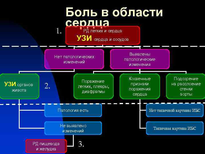 1. Боль в области сердца РД легких и сердца УЗИ сердца и сосудов Нет