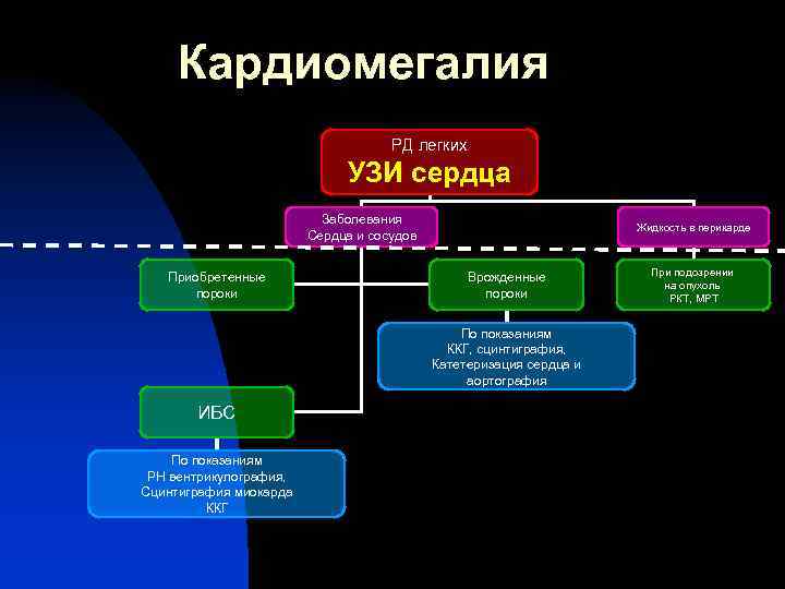 Кардиомегалия РД легких УЗИ сердца Заболевания Сердца и сосудов Приобретенные пороки Жидкость в перикарде
