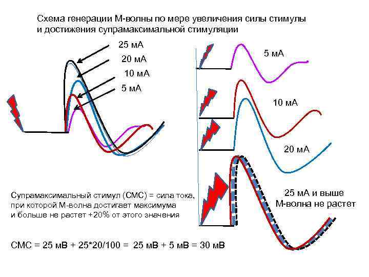 Схема генерации М-волны по мере увеличения силы стимулы и достижения супрамаксимальной стимуляции 25 м.