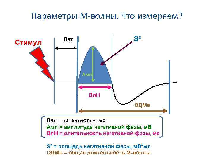 Параметры М-волны. Что измеряем? Стимул S² Лат Амп Дл. Н ОДМв Лат = латентность,