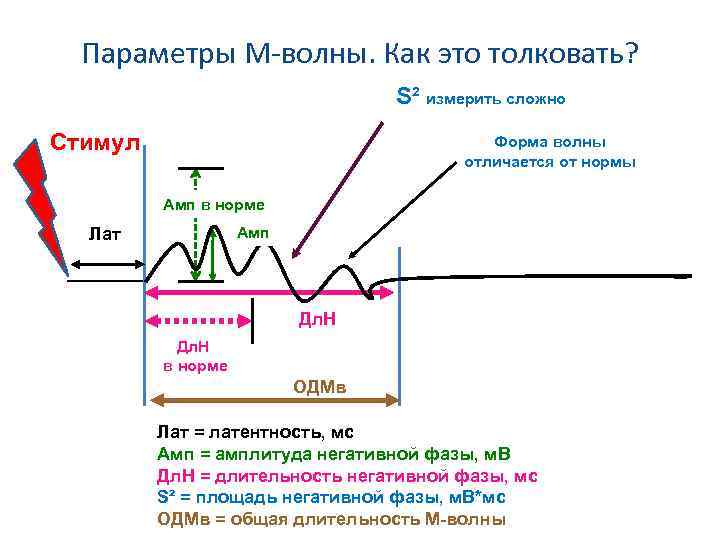 Параметры М-волны. Как это толковать? S² измерить сложно Стимул Форма волны отличается от нормы