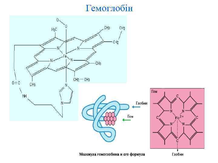 Гемоглобін 