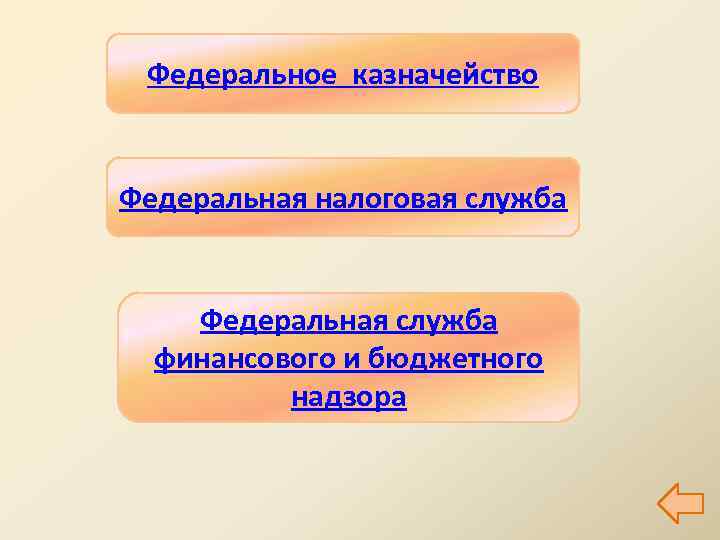 Федеральное казначейство Федеральная налоговая служба Федеральная служба финансового и бюджетного надзора 