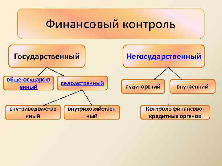 Ведомственный финансовый контроль и аудит