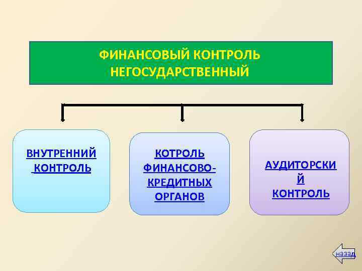 Ведомственный финансовый контроль и аудит