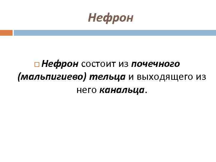 Нефрон состоит из почечного (мальпигиево) тельца и выходящего из него канальца. 