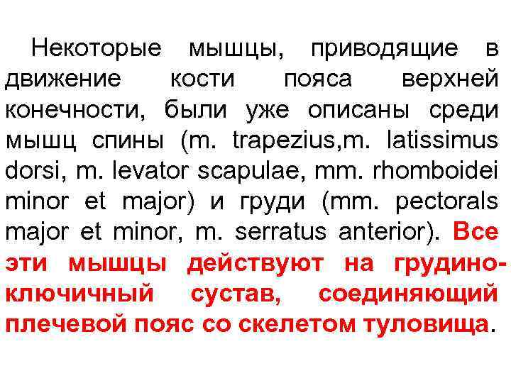 Некоторые мышцы, приводящие в движение кости пояса верхней конечности, были уже описаны среди мышц