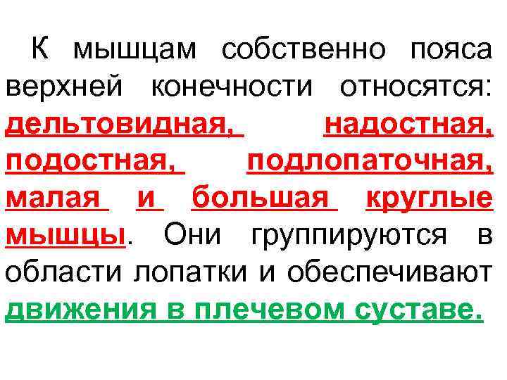 К мышцам собственно пояса верхней конечности относятся: дельтовидная, надостная, подлопаточная, малая и большая круглые