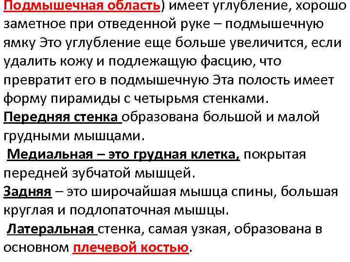 Подмышечная область) имеет углубление, хорошо заметное при отведенной руке – подмышечную ямку Это углубление